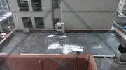 DSC00531.jpg