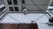 DSC00536.jpg