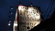 DSC00580.jpg