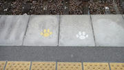 DSC00585.jpg