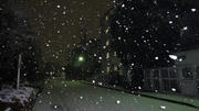 DSC00598.jpg