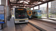 DSC00739.jpg