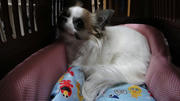 DSC00742.jpg