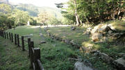 DSC00763.jpg