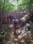 200906071335.jpg