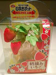 721d7349.jpg