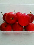 200910141225.jpg