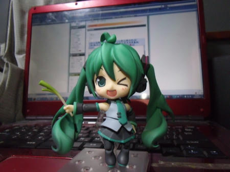 DSCF0342.JPG