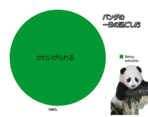 03258833.jpg