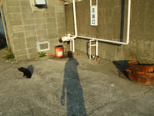 PA170546z10.jpg