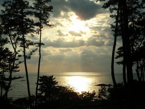 PA170566z12.jpg