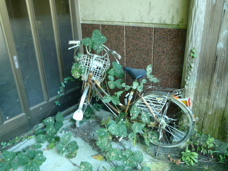 PA180590l1.jpg