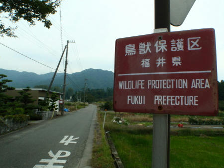 PA190024l1313.jpg