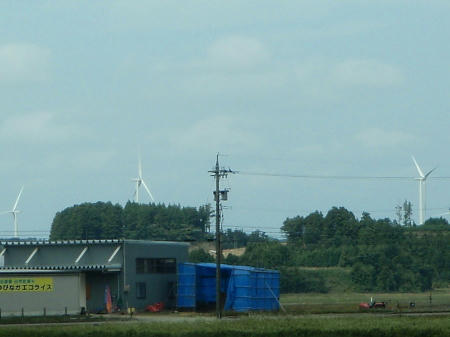 PA220102p7.jpg