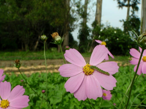 PA190011k5.jpg