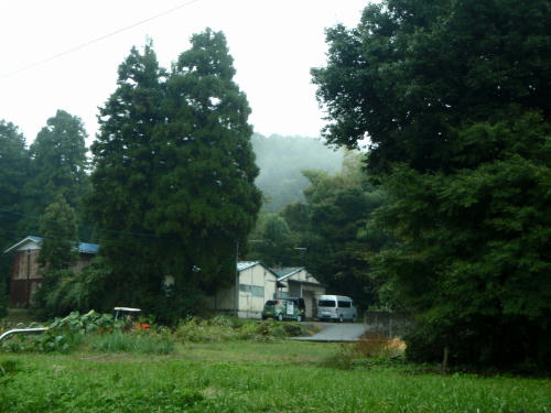 PA280128.6.jpg