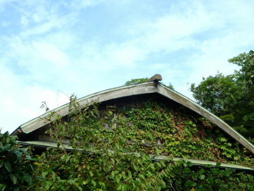 PA290185p7.jpg