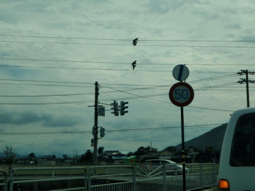 PA290208p10.jpg