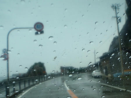 PA310229p5.jpg