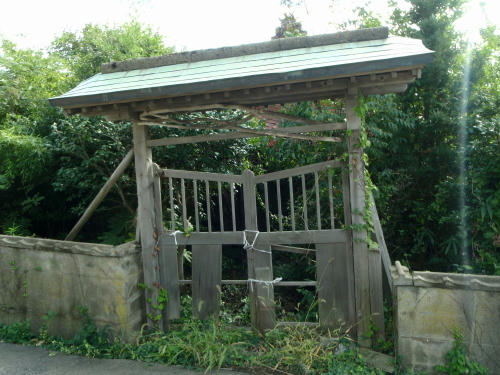 PA290159P1.jpg