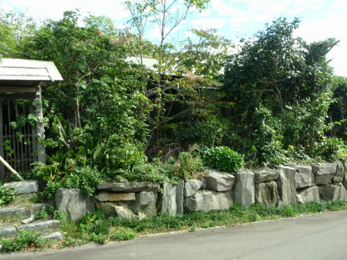 PA290182P1.jpg