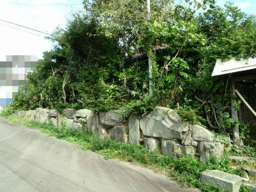 PA290183P2.jpg