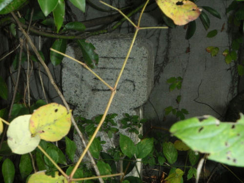 PA290189P6.jpg