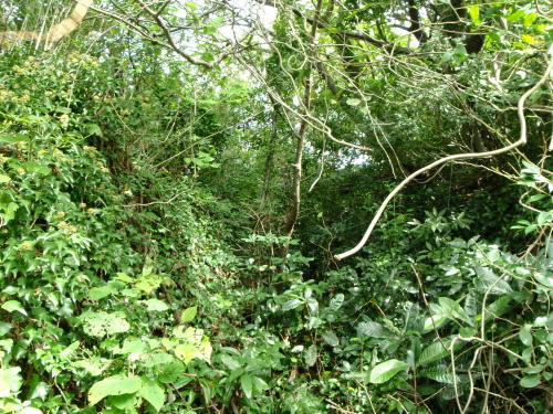 PA290200P16.jpg