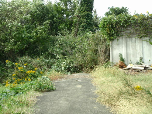 PA290201P17.jpg