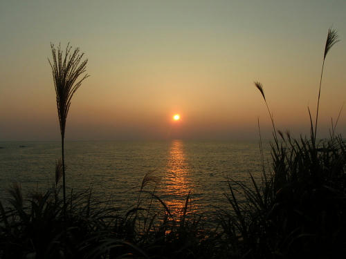 PB070308nk2.jpg