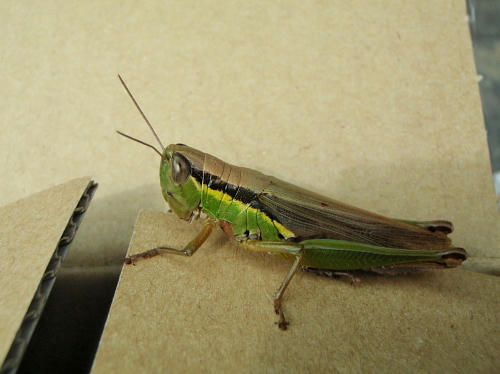 PB130425l6.jpg
