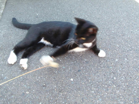 PB170046kl1.jpg