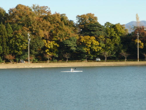 PB190214nm8.jpg