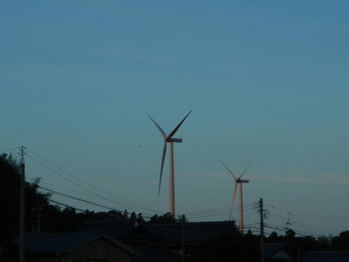 PB190231nm15.jpg
