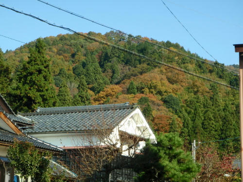 PB200267nm11.jpg