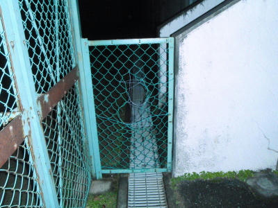 PB270508op4.jpg