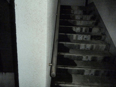 PB270507op5.jpg