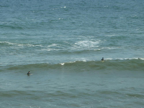 PB280513kl2.jpg