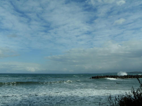 PB280516kl3.jpg