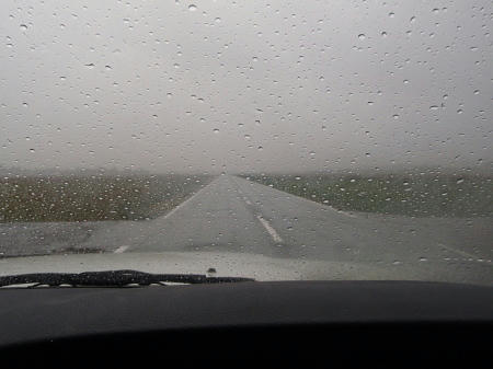 PB280552kl15.jpg