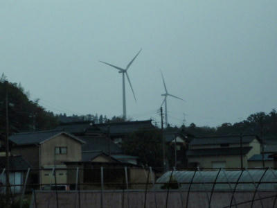 PB290557kl1.jpg
