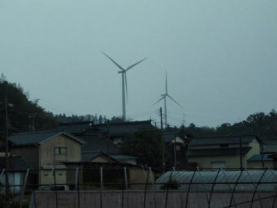 PB290558kl2.jpg