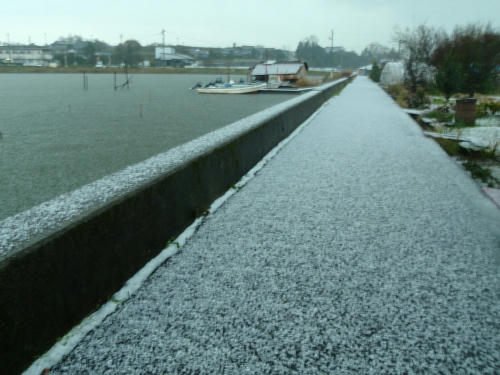 PB290590kl8.jpg