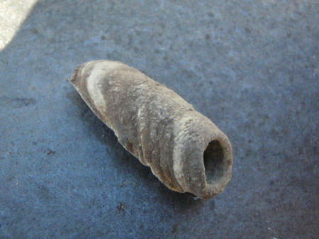 PB300610kl.jpg