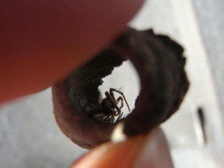 PB300613kl3.jpg