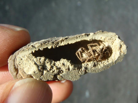PB300612kl4.jpg