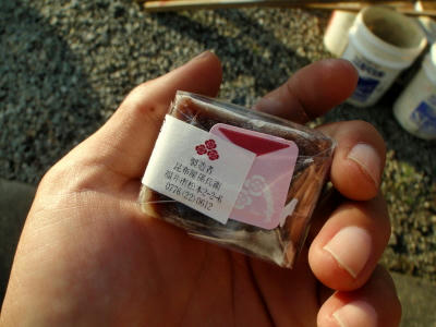 PC010660kl9.jpg