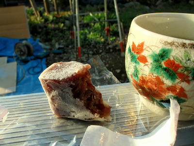PC010663kl10.jpg