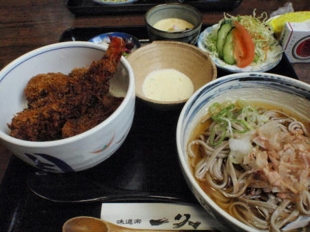 PC030711op6.jpg