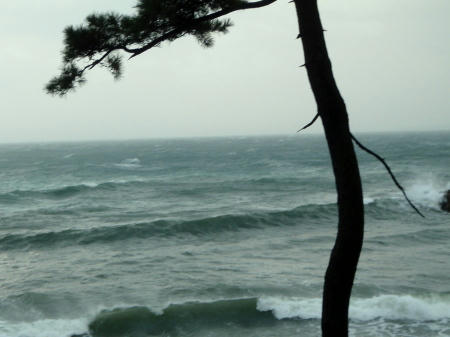 PC030724op10.jpg
